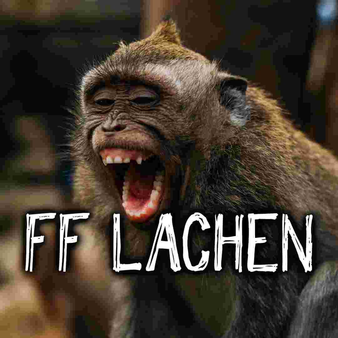 placeholder image-sq